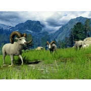 Cabelas Big Game Hunter 2010 - Nintendo Wii