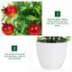 thumbnail image 3 of ADDHAT 2Ud Planta Artificial De En Maceta Bonsái Para Decorar Hogar Y Oficinas, 3 of 6