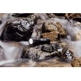 thumbnail image 7 of Pro Hunter BaseCamp Flashlight, 7 of 7