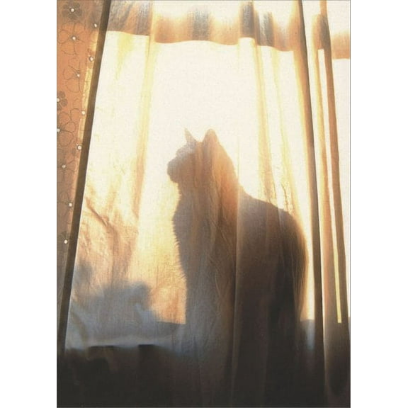 Avanti Press Silhouette Cat Pet Sympathy Card