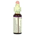 thumbnail image 3 of Bach Original Flower Remedies, Water Violet, 0.35 fl oz (10 ml), 3 of 5