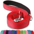 thumbnail image 3 of CNKOO [Laisse pour Chien Réfléchissante Robuste] Laisse pour Chien Réfléchissante avec Poignée Rembourrée Polyamide Robuste Lavable en Machine Fermoir Renforcé - Compatible avec Assorti C, 3 of 6
