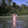 thumbnail image 2 of Floating Fountain, 1 HP, 100' Cord, 15,000 GPH, 13 Patterns, Color LED Lights, 2 of 6