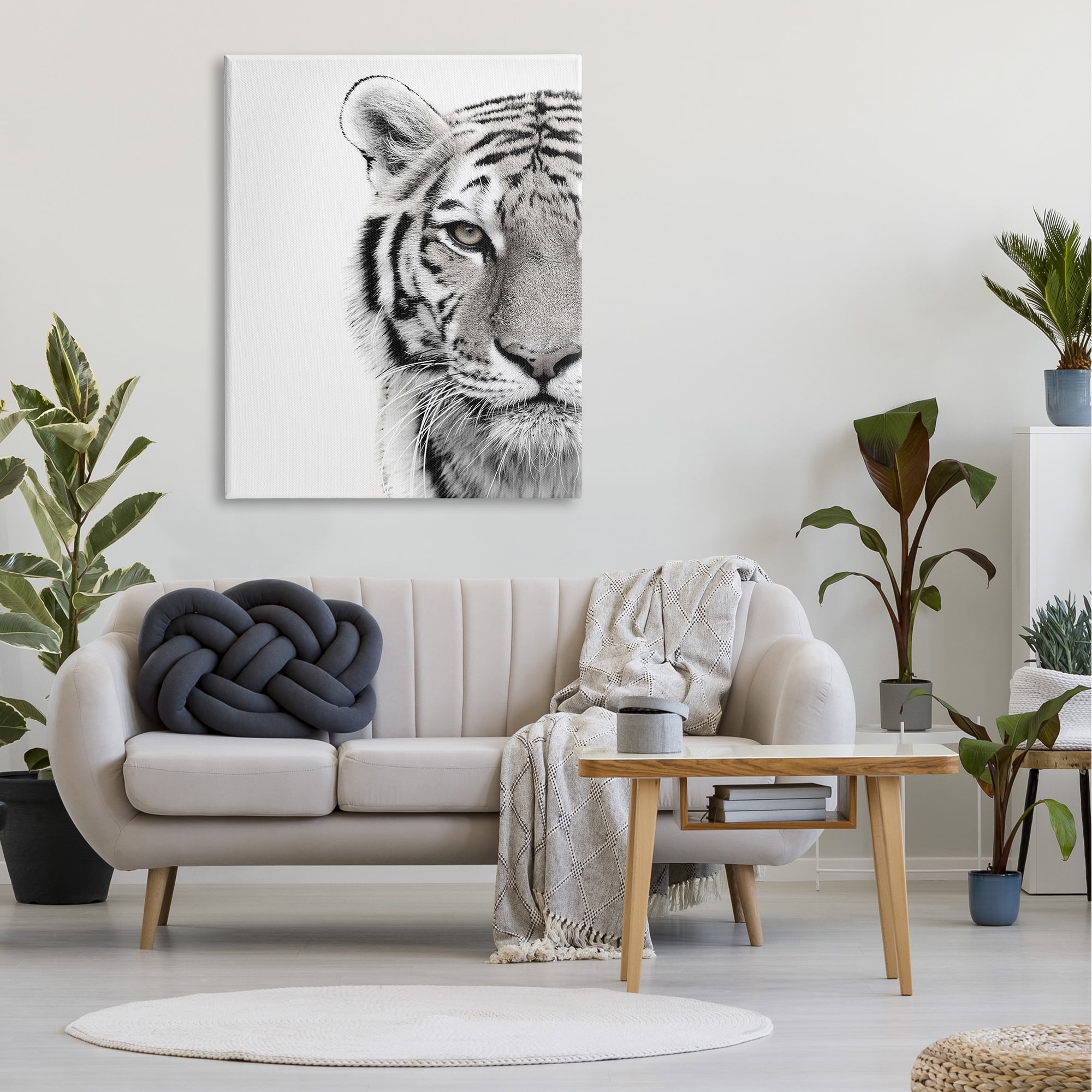 The Stupell Home Decor Collection White Tiger Close Up Black and White Photography Canvas Wall Art