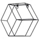 thumbnail image 5 of Estante Para Plantas Estantes Hexagonales Hexagonal Simple De Hierro Forjado, 5 of 8