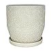 thumbnail image 3 of TRENDSPOT INC 12 in. Dia. White Ceramic Rivage Pot, 3 of 3