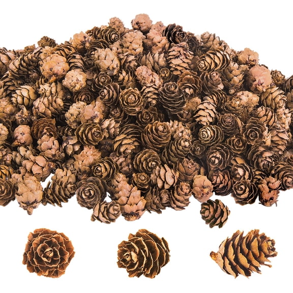EBaokuup 800 Pcs Mini Natural Pine Cones, 1 inch Brown Pinecones for DIY Crafts, Christmas, Fall and Wedding Decor