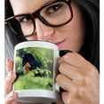 thumbnail image 2 of 3drose, Male Rufous-sided Towhee Bird - Na02 Aje0217 - Adam Jones, 11oz Two-tone Black Mug, 2 of 6