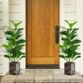 thumbnail image 4 of Gymax Artificial Tree 2-Pack Artificial Fiddle Leaf Fig Tree forIndoor & Outdoor, 4 of 10