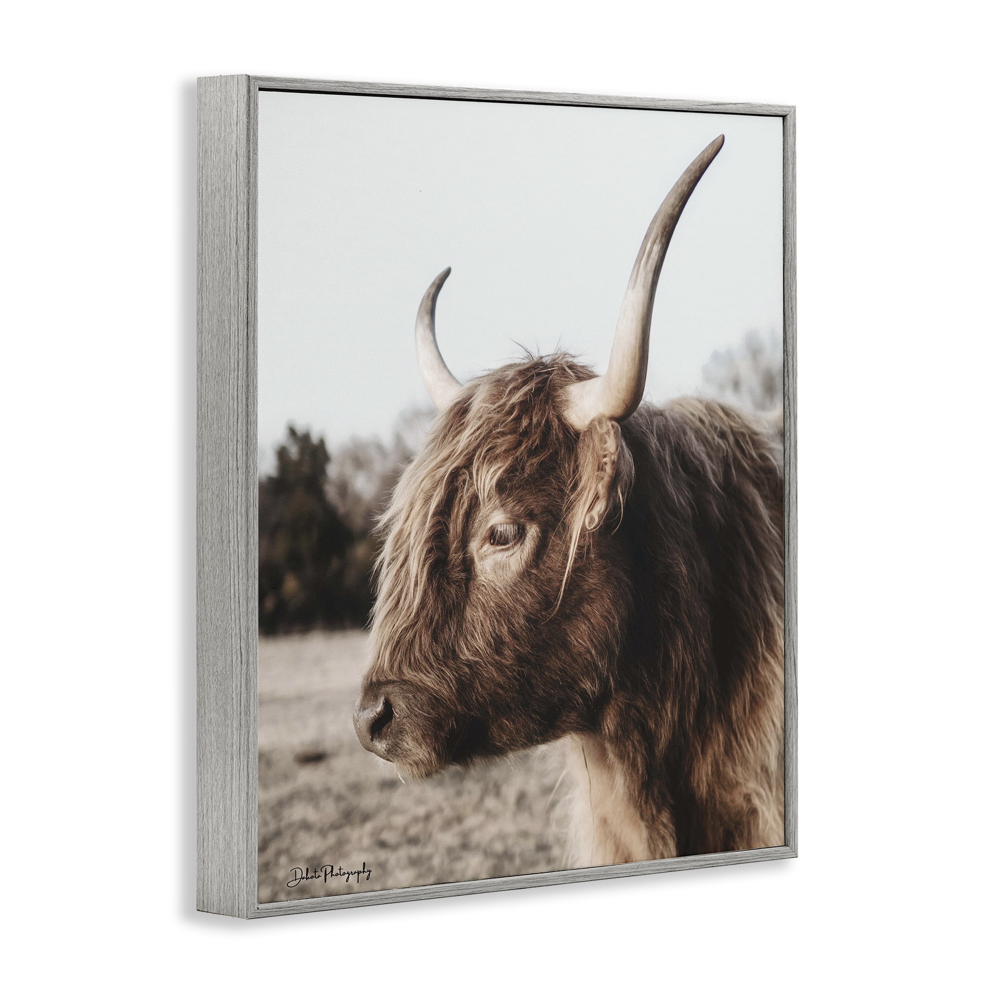 Stupell Industries Horned Cattle Peering Gray Framed Giclee Art, design by Dakota Diener