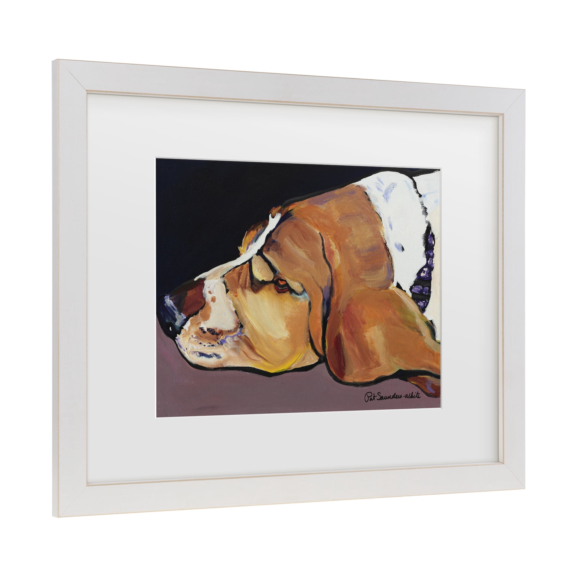 Trademark Fine Art 'Farley' Canvas Art by Pat Saunders-White