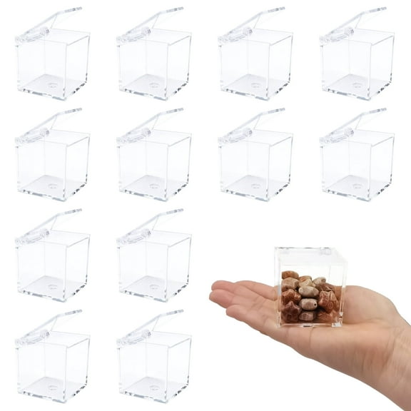 BAGnoREGio 12 Pack Clear Acrylic Small Square Storage Boxes with Hinged Lids, 1.97"x1.97"x1.97 inch mini Transparents Organizer Boxes.