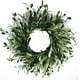 thumbnail image 1 of Corona de hojas de olivo artificiales Zhuge para puerta de entrada, corona de olivo verde de 50 cm con hojas de olivo y semillas de olivo, corona verde para pared, ventana, decoración de Navidad,, 1 of 5