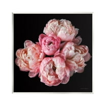 Stupell Industries Peonies on Black Botanical & Floral Photography Unframed Art Print Wall Art, 12 x 12