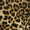 leopard print, variant on Plus Size Women's Leopard Print V Neck Tank Top, Wide Strap Sleeveless Knit Muscle Tank, Animal Print Casual Summer Sleeveless Shirts for Ladies