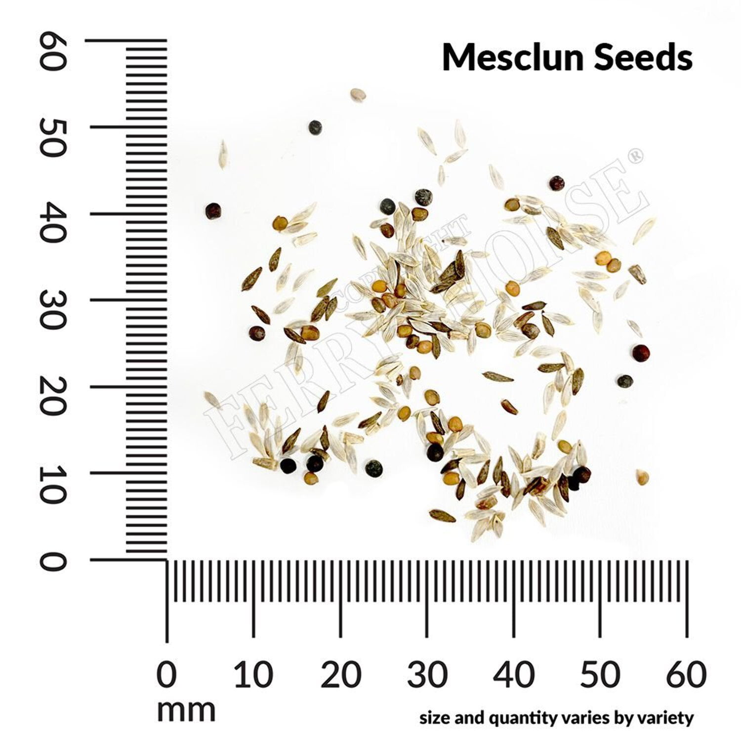 Ferry-Morse Online Edition Mesclun Gourmet Greens Mixture Organic Seed Multipack - 7 Pack