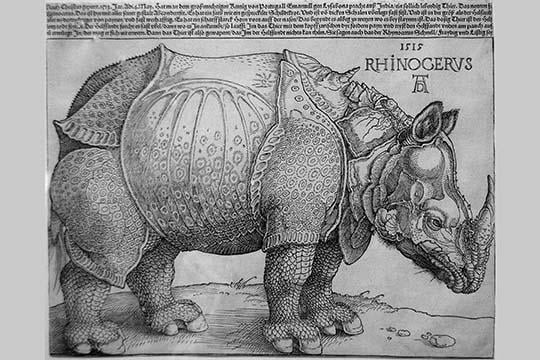 ARTCANVAS The Rhinoceros 1515 Canvas Art Print by Albrecht Durer