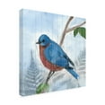 thumbnail image 2 of Trademark Fine Art 'Eastern Songbird IV' Canvas Art by Alicia Ludwig, 2 of 3