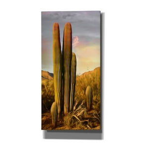 Epic Graffiti 'Grandmother Saguaro' by Pamela Plummer, Canvas Wall Art, 12"x24"
