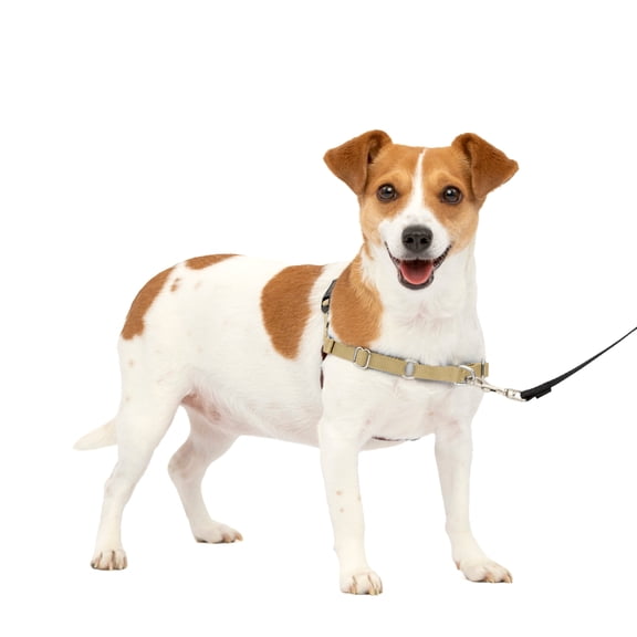 PetSafe Easy Walk Dog Harness, No Pull Leash, prevents from Choking on Walks, Fawn, S