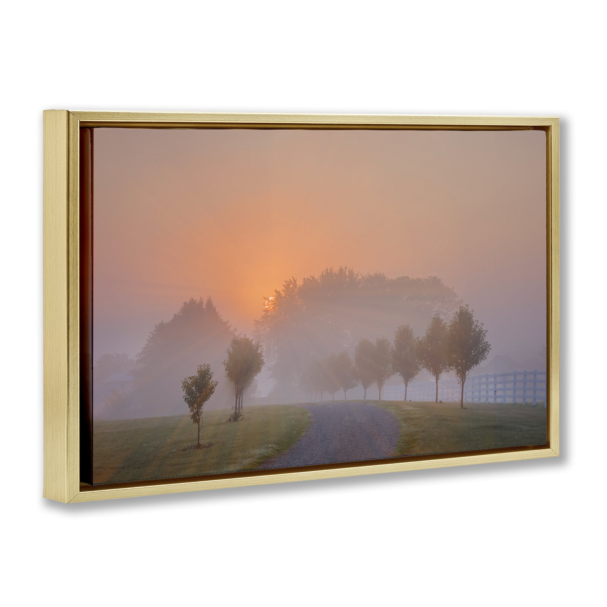 Stupell Industries Grove Path at Sunset Landscape & Nature Photography Gold Floater Framed Canvas Art Print Wall Art, 25 x 17