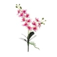 thumbnail image 2 of Visland Artificial Silk Phalaenopsis Flowers Artificial Orchid Flowers Stem Plants Fake Butterfly Phalaenopsis Flowers for Home Wedding Party Décor, 2 of 7