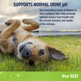 thumbnail image 4 of Pet MD No More Yellow Spots Dog Urine Neutralizer for Lawn - pH-Balancing Helps Prevent Dog Pee from Killing Grass - Enhanced with Digestive Probiotics for Dogs & Puppies - 120 ct, 4 of 7