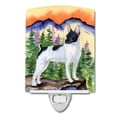 thumbnail image 1 of Carolines Treasures SS8224CNL Rat Terrier Ceramic Night Light, 1 of 1