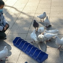 LULULION Pigeon Feeding Holder Food Container Plastic 1Pcs Blue