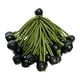 thumbnail image 1 of 20 piezas de cuerdas elásticas para pelotas de ejercicio, repuesto para lonas de lona Verde, 1 of 9