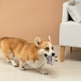 thumbnail image 3 of Adorable Interactive Stuffing Cute Plaything For Indoor Cats Entertainment, 3 of 4