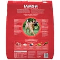 thumbnail image 5 of Iams Proactive Health Adult With Grass-Fed Lamb Dry Dog Food, 26.2 Lb, 5 of 6