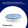 thumbnail image 4 of Tupperware Freeze and Go Plastic Round Food Container Set with Lids (2 Count), 4 of 7