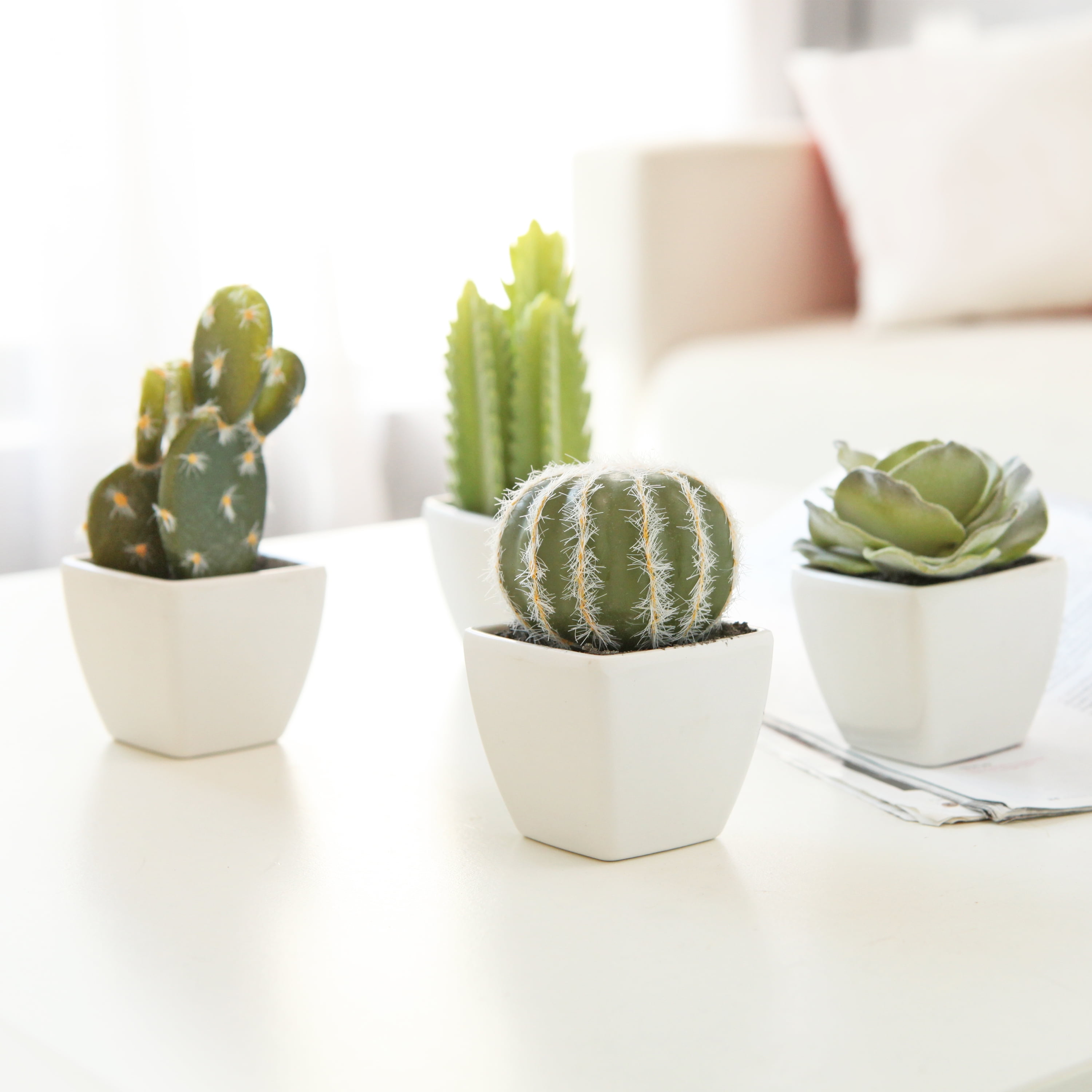 Artificial Mini Succulent & Cactus Plants in White Cube-Shaped Pots Set of 4 