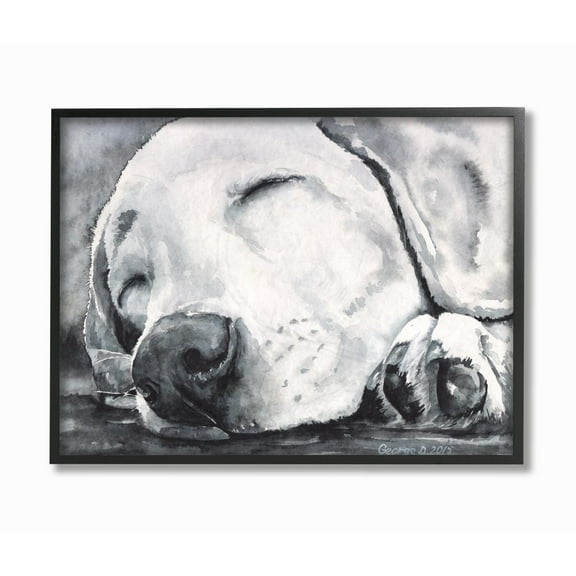 Stupell Industries Sleepy Dog Pet Animal Watercolor Painting Framed Giclee Texturized Art by George Dyachenko