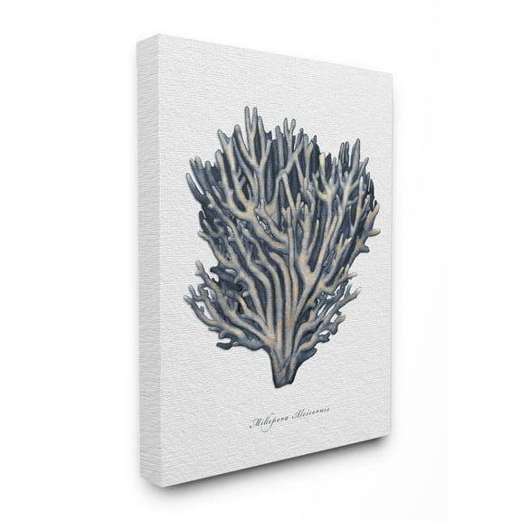 Stupell Industries Sea Life Coral Watercolor Painting Canvas Wall Art by Ziwei Li