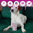 thumbnail image 2 of Cranberry Extract Plus, Bladder & Urinary Tract Support Soft Chews for Dogs (60 Chews), 2 of 9