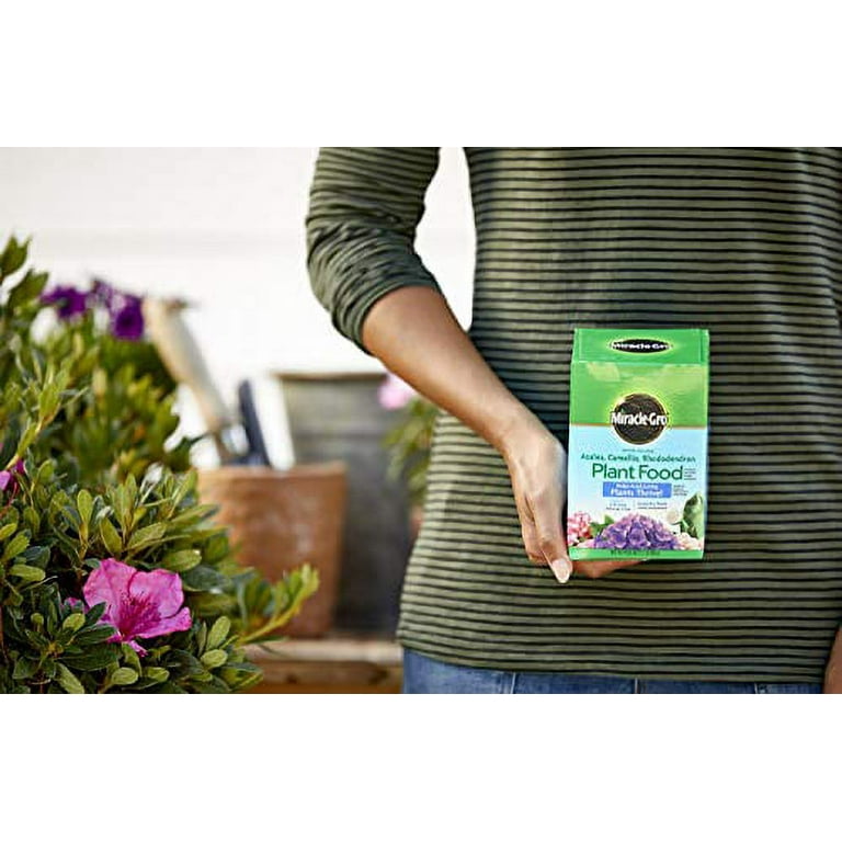 Miracle-Gro Azalea Camellia Plant Food, Bloom Fertilizer for