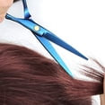 thumbnail image 3 of Tijeras de peluqueria, juego de tijeras, tijeras de adelgazamiento de acero inoxidable, tijeras de peluqueria, tijeras de adelgazamiento y texturizado. Conjunto de peluquería profesional. Levamdar 220072-3, 3 of 8