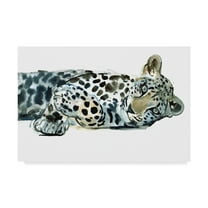 Trademark Fine Art 'Broken Siesta' Canvas Art by Mark Adlington