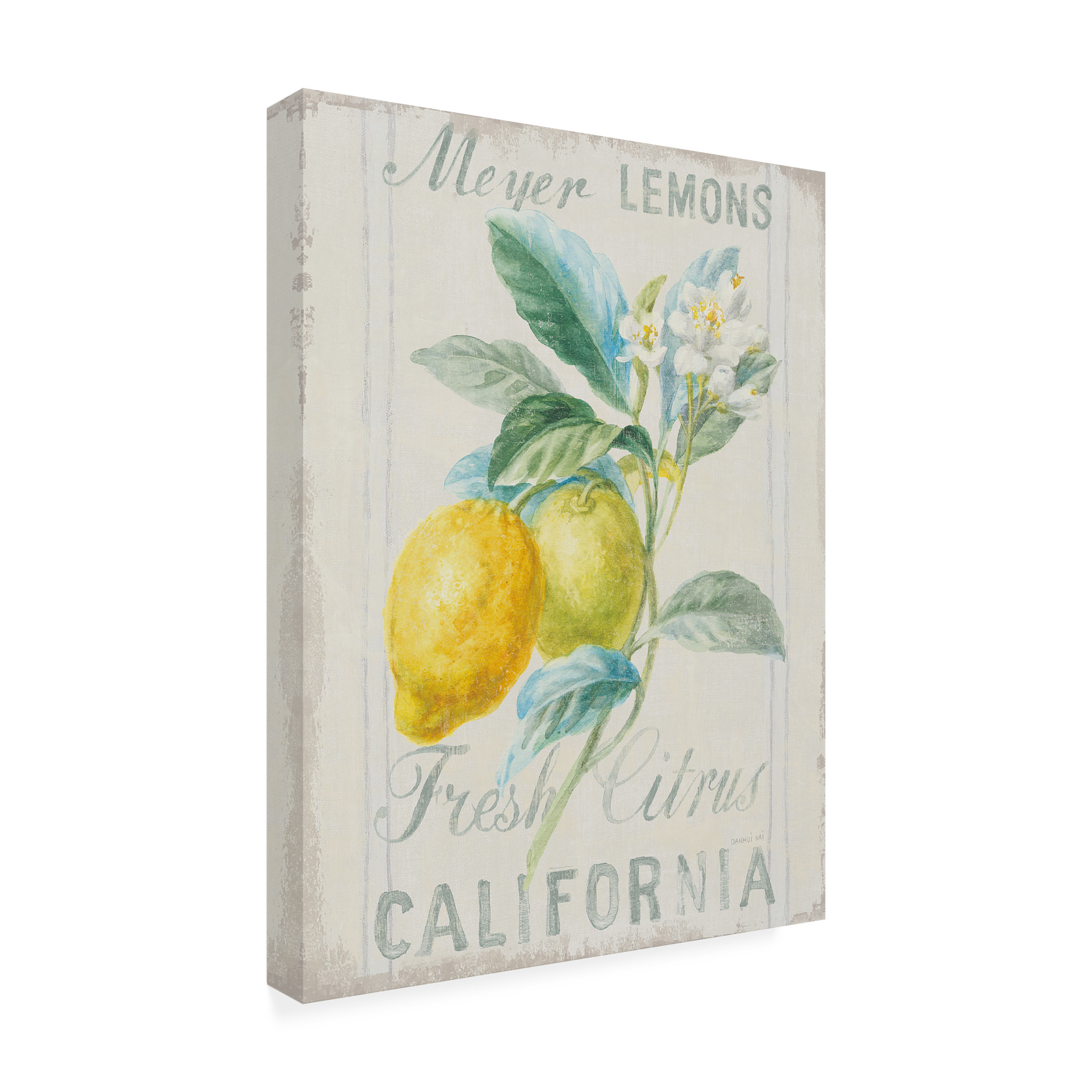 Trademark Fine Art 'Floursack Lemon II' Canvas Art by Danhui Nai