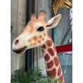 thumbnail image 6 of Giraffe Life Size Statue, 6 of 10