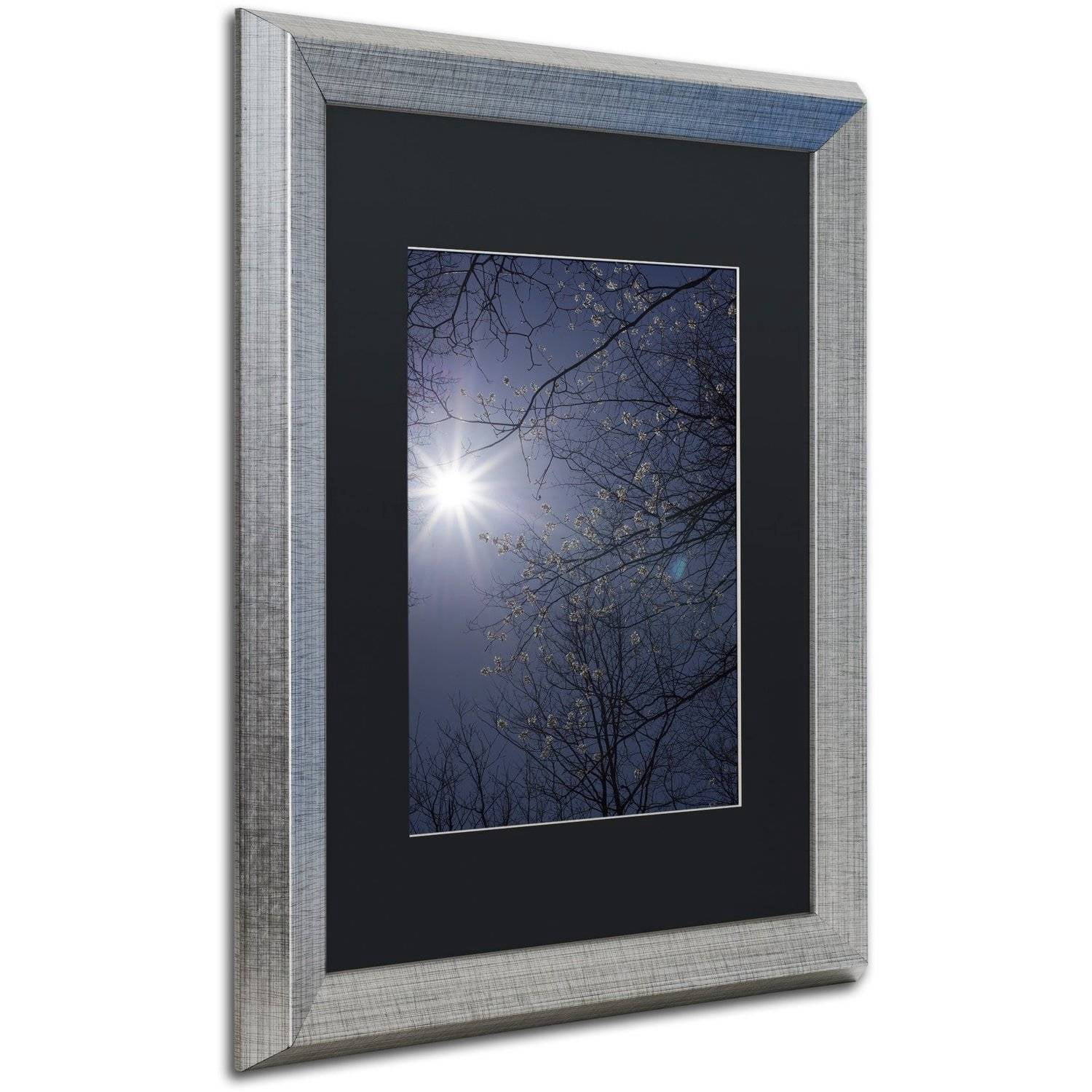 Trademark Fine Art "Springtime Sunshine" Canvas Art by Kurt Shaffer, Black Matte, Silver Frame