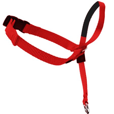 GOGO Head Collar, Control Training Collars, No-pull Painless for (Best No Pull Dog Collar)