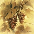 thumbnail image 3 of Denis, E 12x12 Black Modern Framed Museum Art Print Titled - Grapes III, 3 of 5