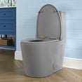 thumbnail image 3 of SUNRINX Light Gray One Piece Toilet With 17.1 ADA Comfort Chair Height Seat Elongated Toilets For Bathrooms, 1.1/1.6 GPF Water-Efficient Dual Flush System, Soft-Close Seat, 3 of 11
