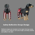 thumbnail image 3 of Rodillera para perro ajustable doble pierna trasera con soporte flexible con bisagras de metal y cinturones de seguridad reflectantes (rojo), 3 of 7