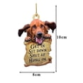 thumbnail image 1 of Fall Decorations Animal Lover Two Sided Ornament,Funny Car Hanging, 1 of 5