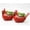 2pcs, variant on Cardinal Bird Succulent Planter, Red Resin Cardinal Flower Pot Decorative Indoor Outdoor Plant Pot for Succulents, Cute Animal Plant Pot Garden Desk Decor, Unique Gift for Bird Lovers