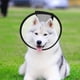 thumbnail image 4 of IDEANATEGRATE Collar Postoperatorio Ajustable Para Perros Y En Color Plateado Con Material Lavable, 4 of 7